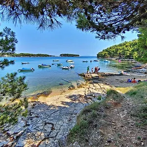 https://mobile-home-20m-from-the-sea.in-istria.net